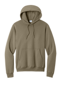 Fall Diet Coke- P&C Hoodie - 3