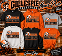 Gillespie Volleyball-4 - 1