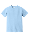 LPN(Blue)- Comfort Color T-Shirt - 2