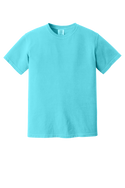 Sarcastic- Comfort Color T-Shirt - 4
