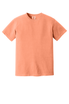 Neon Canalope