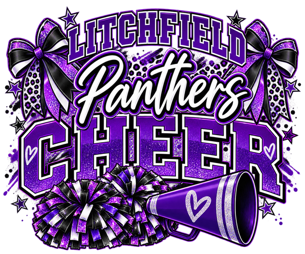 Panthers Cheer- Spirit - 2