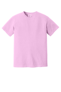 Sarcastic- Comfort Color T-Shirt - 8