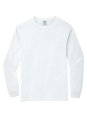 Books(Bows)- Comfort Color Long Sleeve - 9